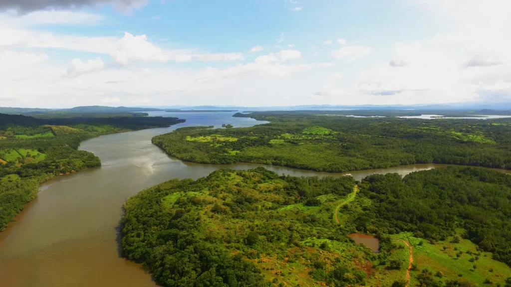 Aerial view of winding rivers flowing through lush green tropical forest and landscape.