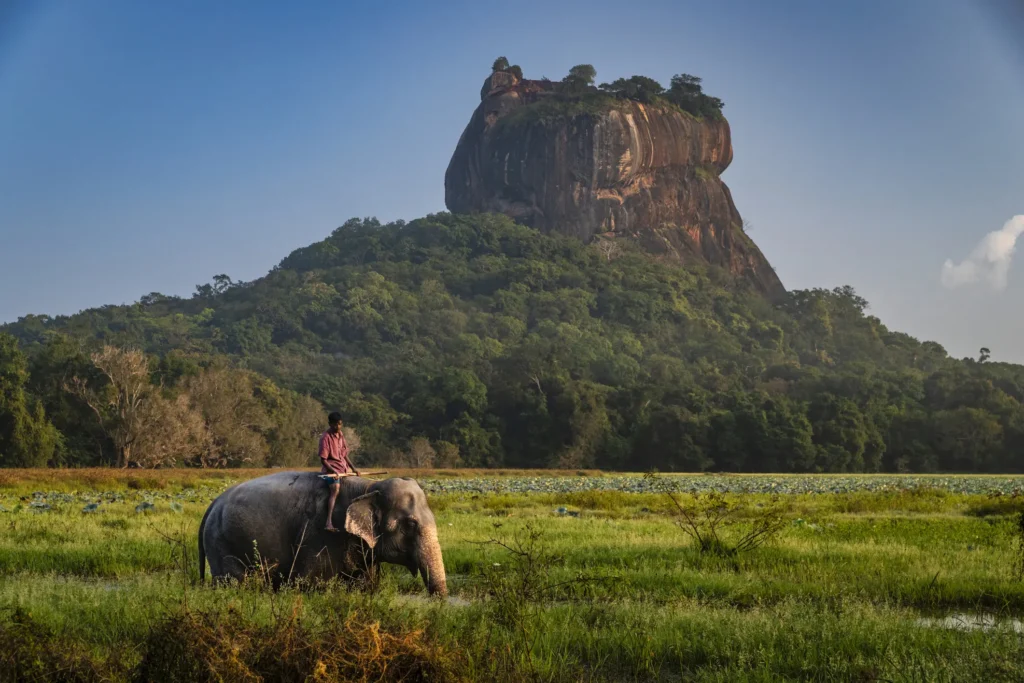 Person riding an elephant in a green field with Sigiriya Rock rising in the background.