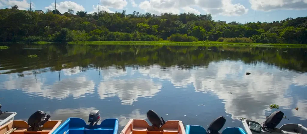 Investing in a Greener Future: Successful Debut of the Green Bond in the Dominican Republic